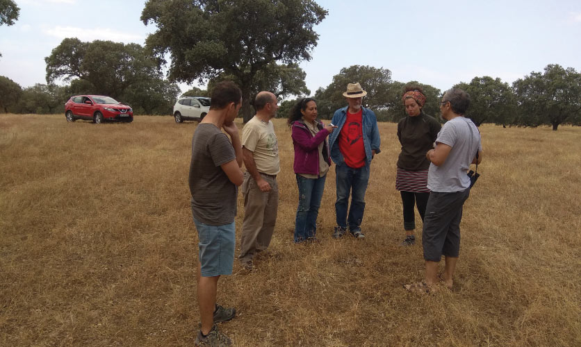 Discussion between local and international scientists and experts in agroforestry, Gerardo Morena (Universidad de Extremadura), Ivette Perfecto and John Vandermeer (University of Michigan) and Elisa P. Carbonell (ETH Zurich), about different aspects of the ecology of the dehesa and about the experiments conducted by the Universidad de Extremadura