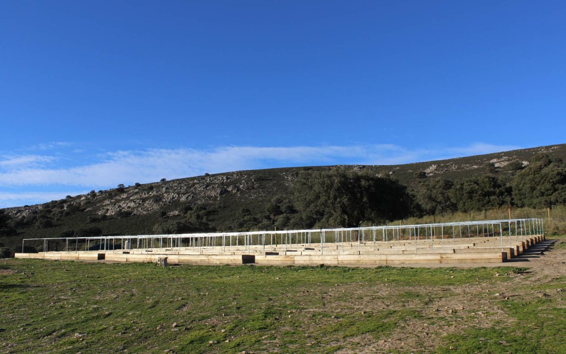 Common garden at the Aprisco de Las Corchuelas